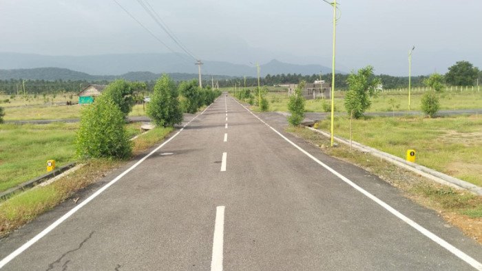 Proj Img 50073 17893 8 770x400 2
